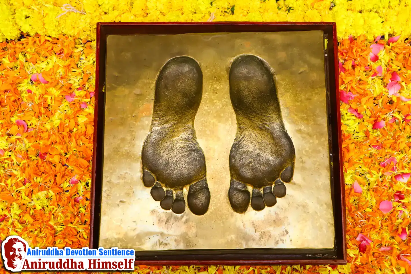 Aniruddha Bapu Padhchinha Darshan