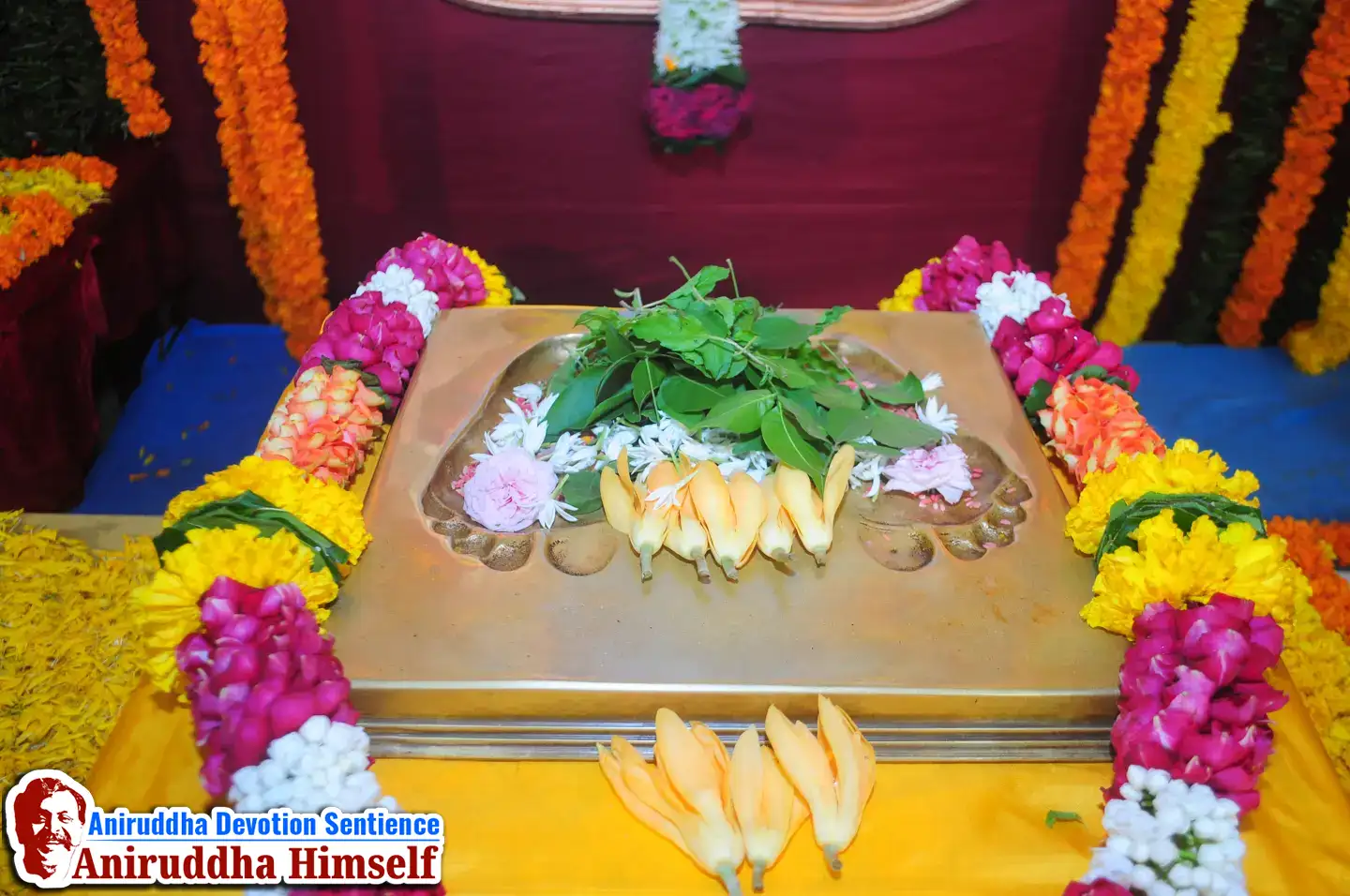 Aniruddha Bapu Padhchinha Darshan