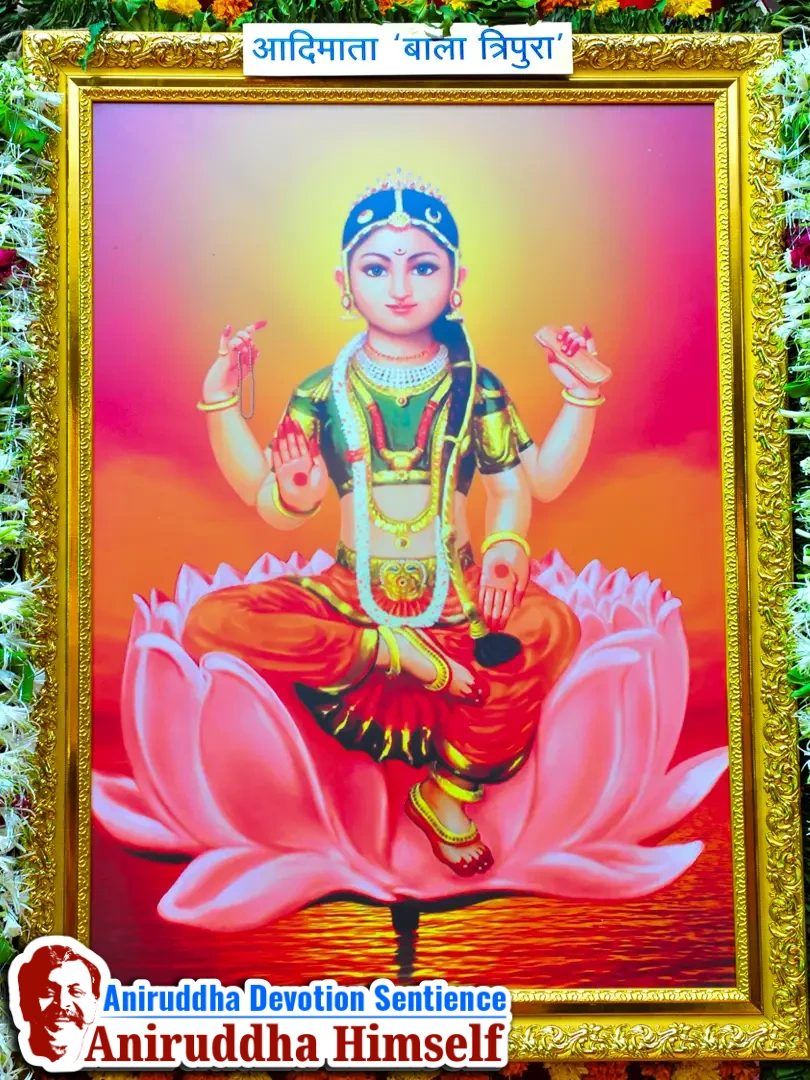 In front of the stage was the Parikrama Kaksha, a sanctified walkway of twenty-five divinely arranged pictures leading devotees towards the stage. Sadguru Aniruddha personally unveiled these images with offerings of tender coconut (shahale), wheat, and flower garlands.