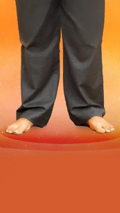 Aniruddha Bapu Charan