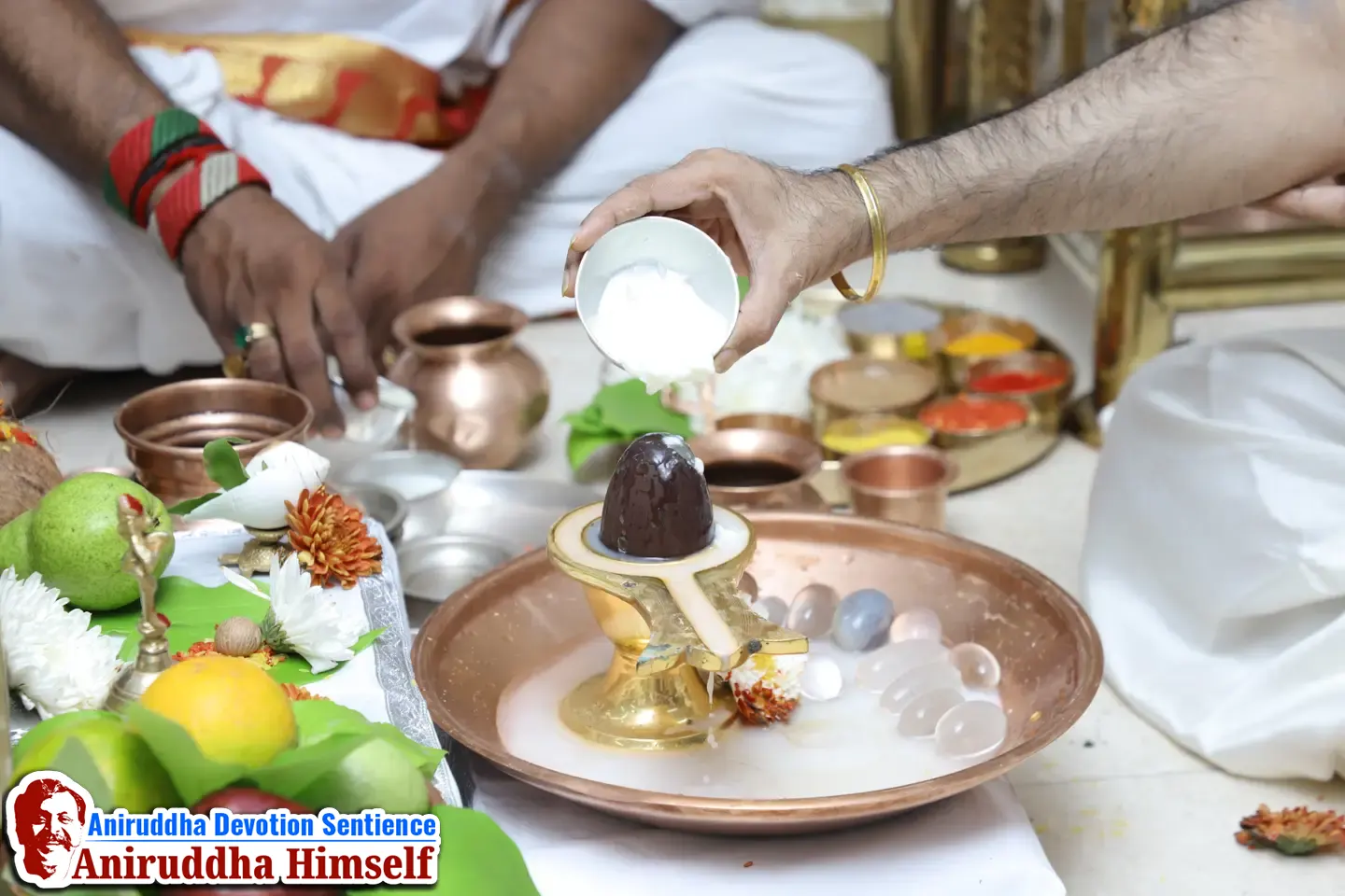 Shree Mahadurgeshwar poojan performed on the occasion of Mahashivratri at Shree Gurukshetram - 2026