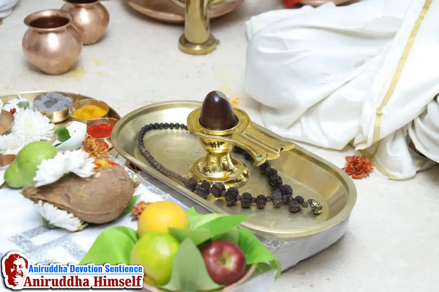 Shree Mahadurgeshwar poojan performed on the occasion of Mahashivratri at Shree Gurukshetram - 2026