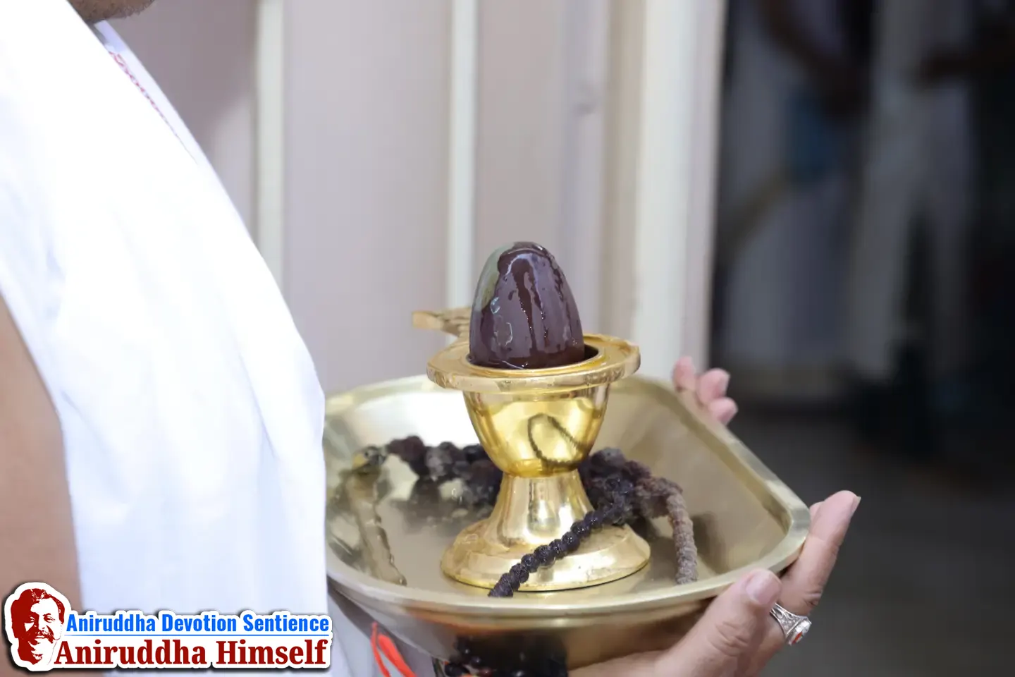 Shree Mahadurgeshwar poojan performed on the occasion of Mahashivratri at Shree Gurukshetram - 2026