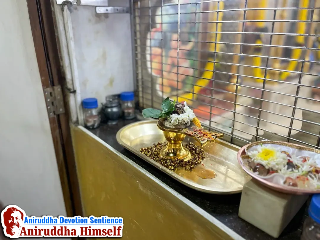 Photos of Devata (Deities) from Shree Aniruddha Gurukshetram