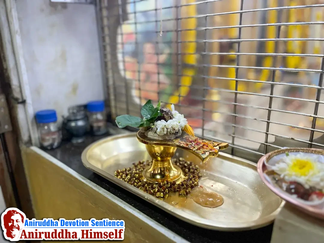 Photos of Devata (Deities) from Shree Aniruddha Gurukshetram