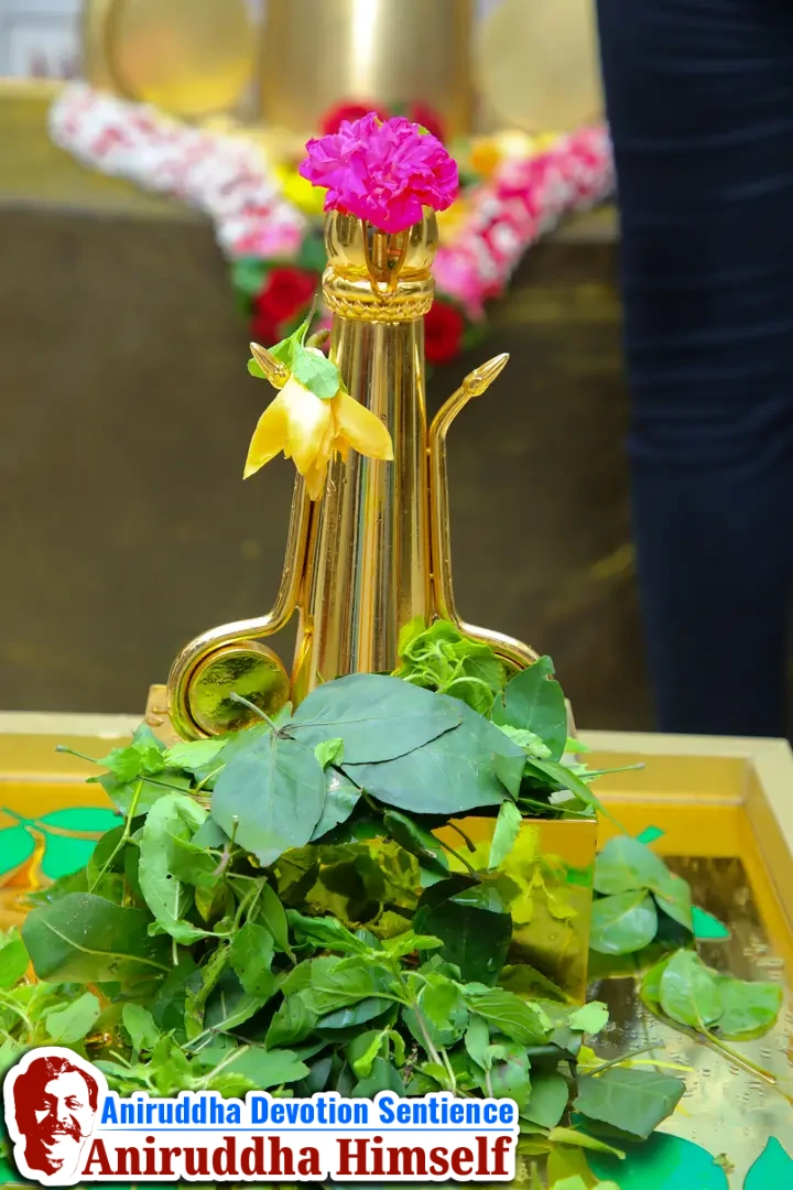 Photos of Devata (Deities) from Shree Aniruddha Gurukshetram