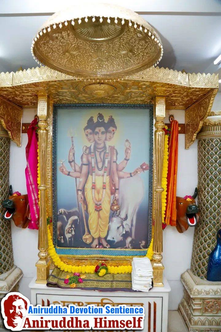 Photos of Devata (Deities) from Shree Aniruddha Gurukshetram