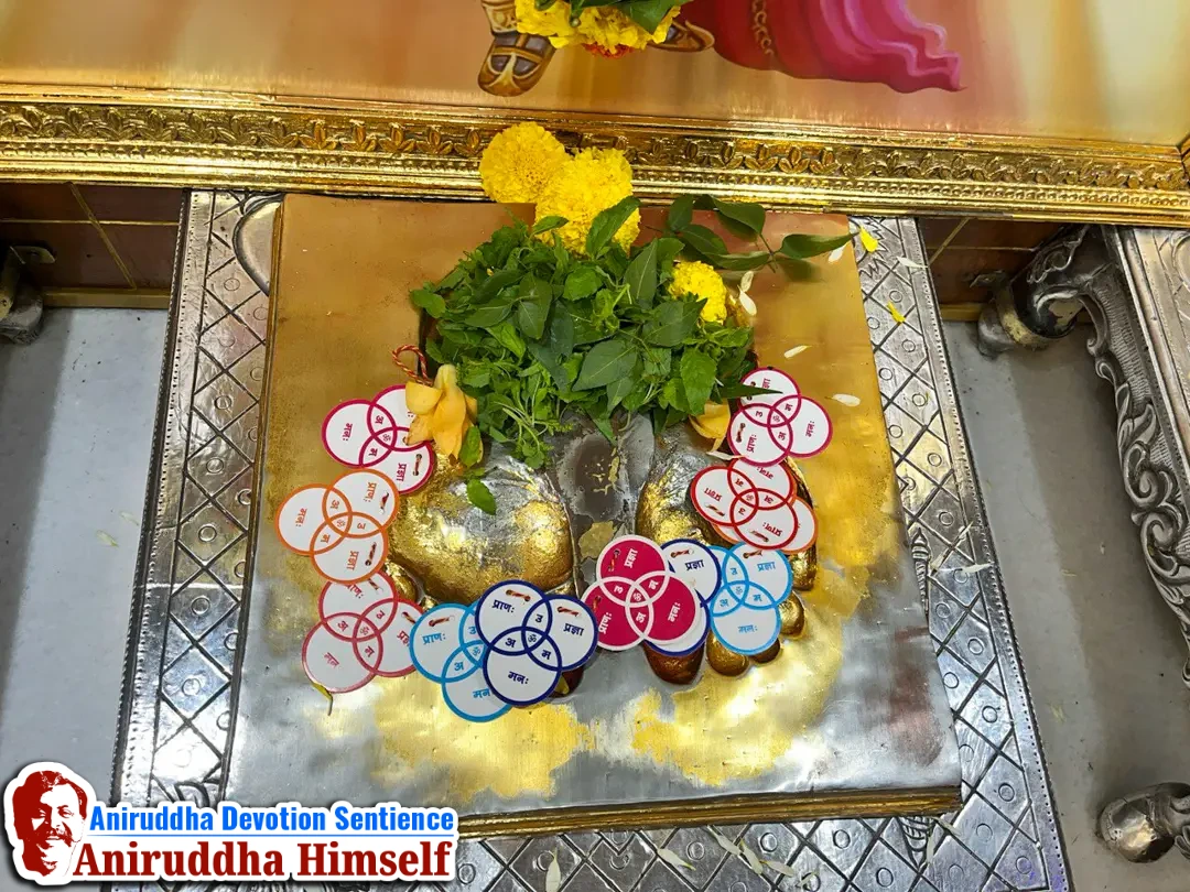 Trivikram Maala Arpan at Shree Aniruddha Gurukshetram