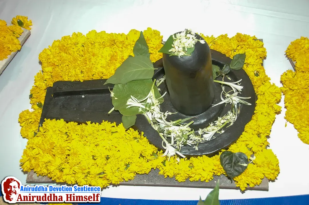 Devata's at Shree Avdhoot Chintan Utsav