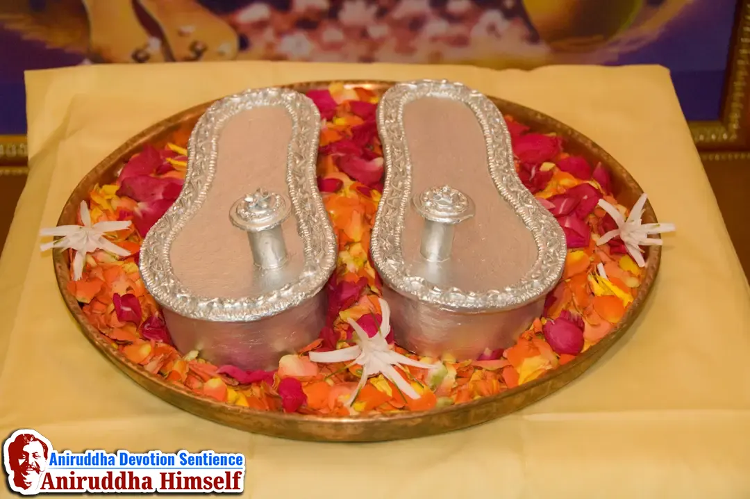 Devata's at Shree Avdhoot Chintan Utsav