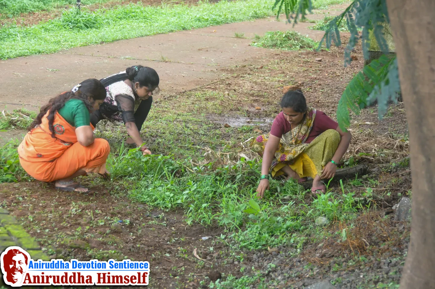 Shraddhavans performing seva at Govidyapeetham