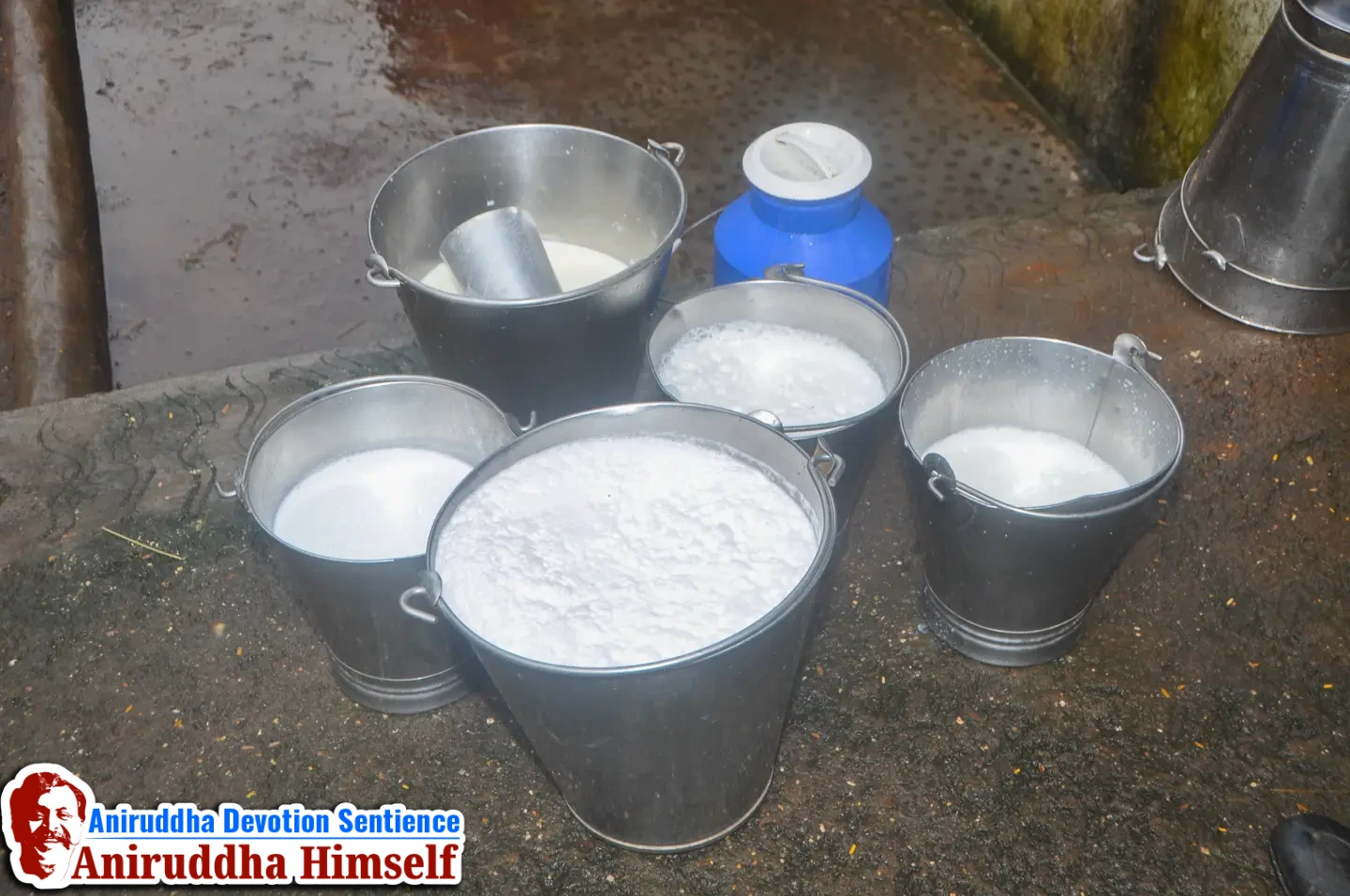 Milk from Gir Cows at Shree Govidyapeetham