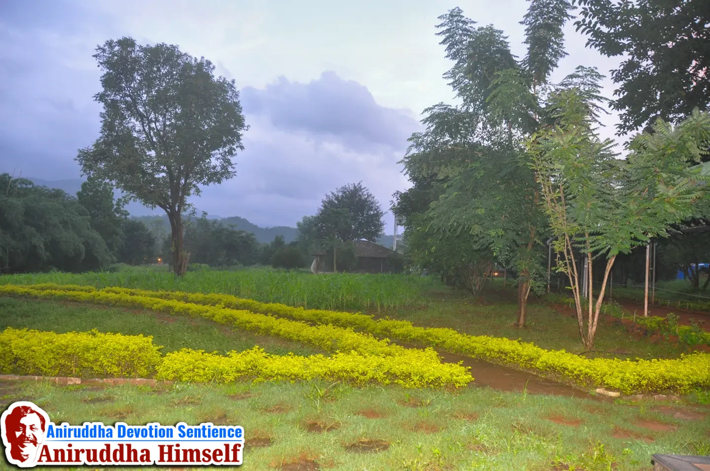 Beautiful premises of Shree Govidyapeetham