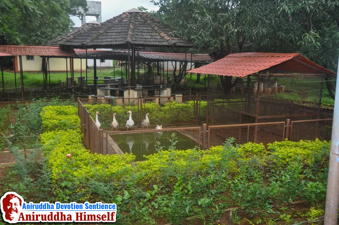 Beautiful premises of Shree Govidyapeetham