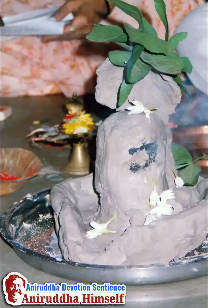 Shree Kshetra Akkalkot Rasayatra