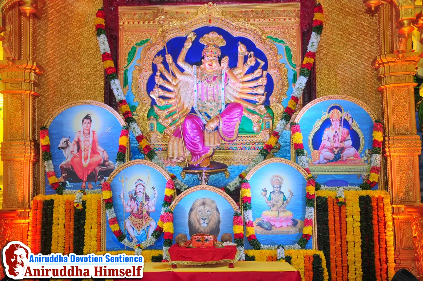 Deities (Devata) in Shree Shwasam Utsav in the year 2015 at Shree Harigurugram