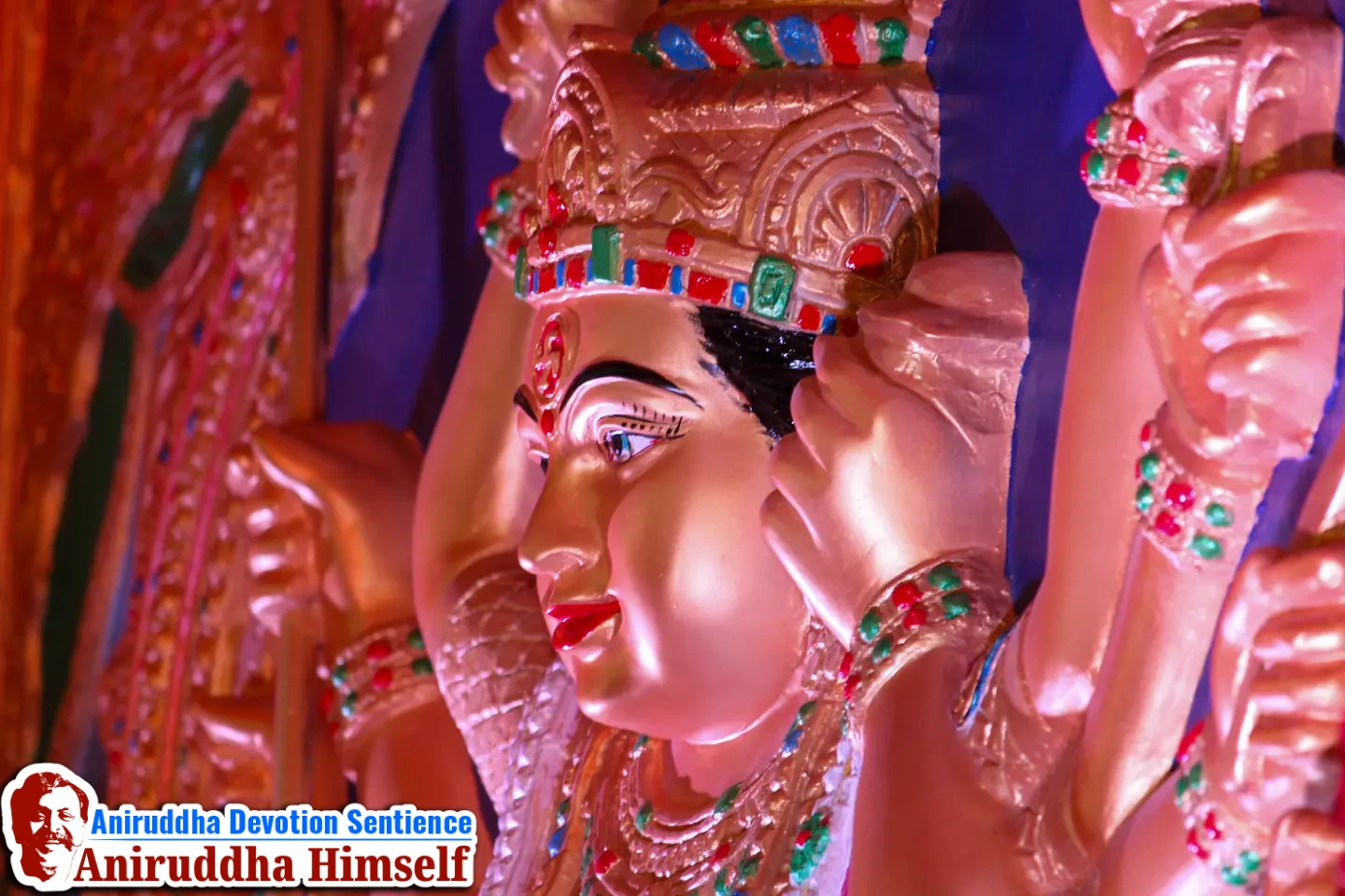 Deities (Devata) in Shree Shwasam Utsav in the year 2015 at Shree Harigurugram