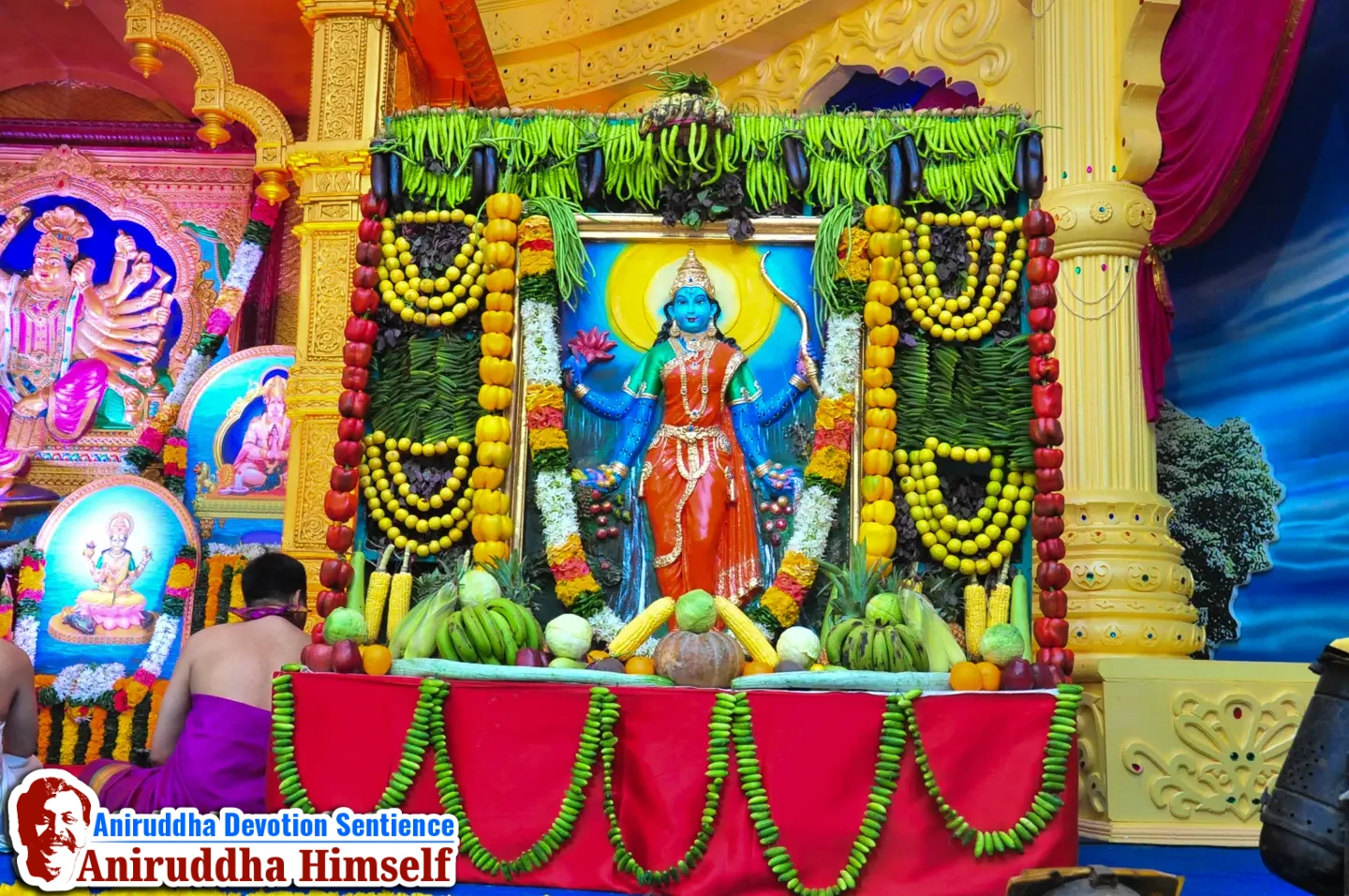 Shakambhari Mata photo in Shree Shwasam Utsav held in the year 2015 at Shree Harigurugram
