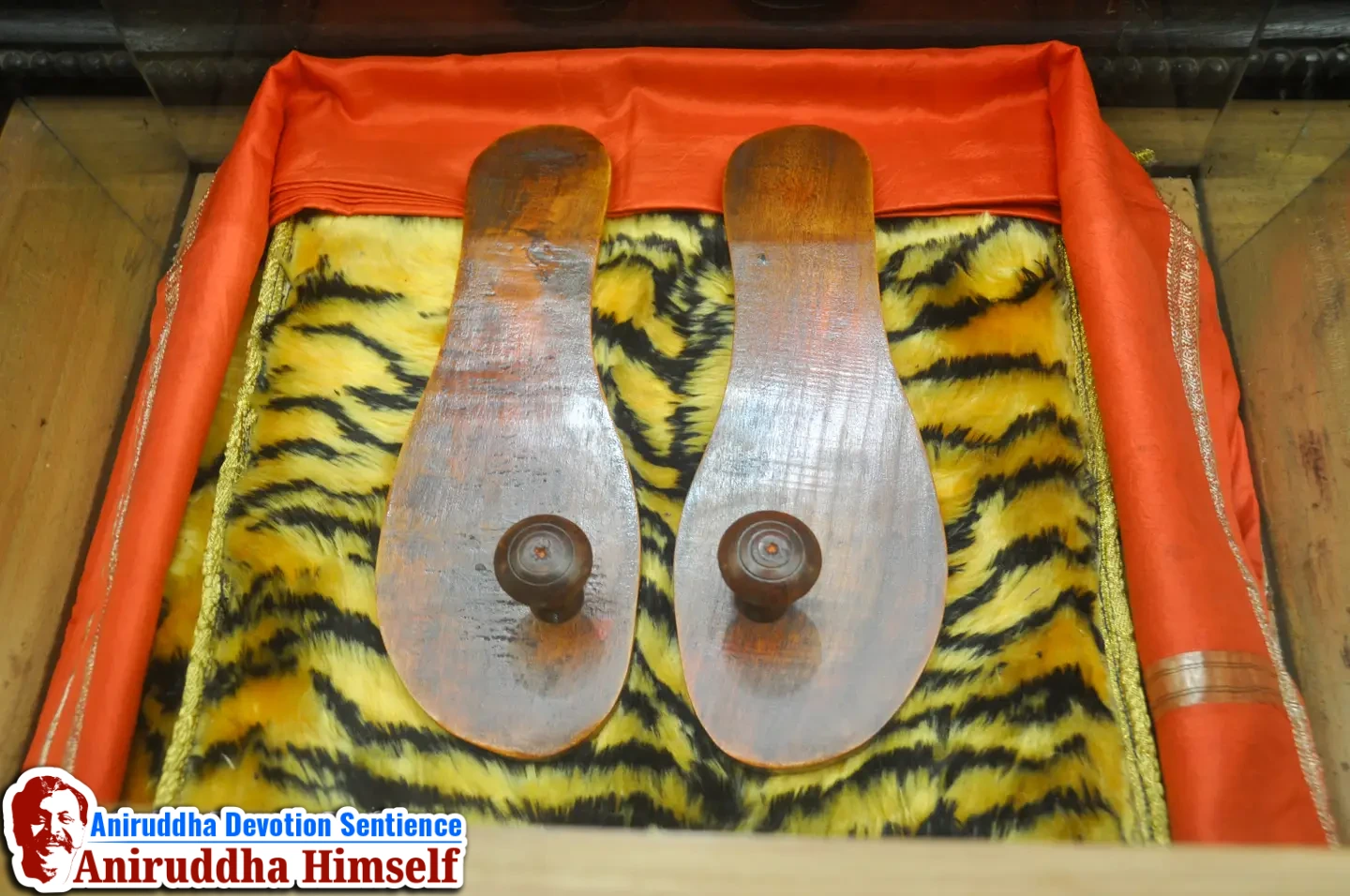 Aniruddha Bapu Vishesh Paduka Digvijay Paduka