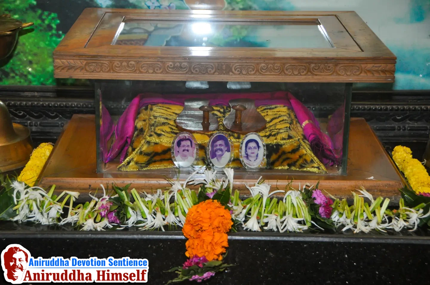 Aniruddha Bapu Vishesh Paduka Digvijay Paduka