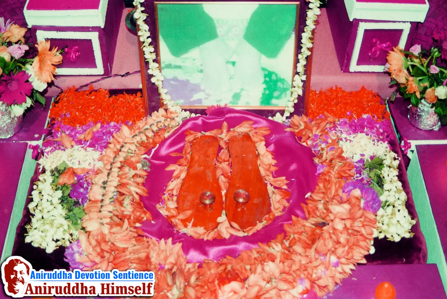 Aniruddha Bapu Vishesh Paduka Digvijay Paduka