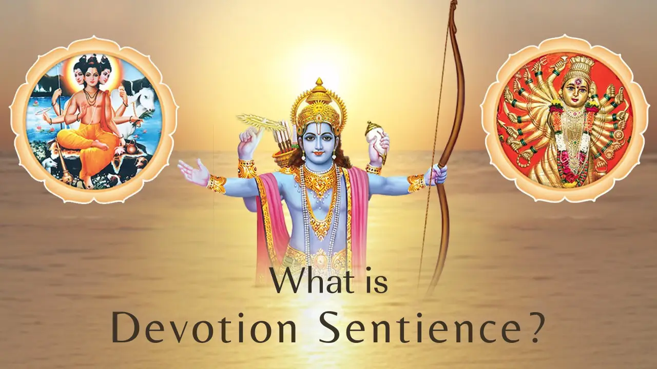 What is Devotion Sentience